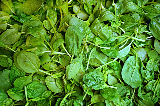 Salade de pousses d'épinards  frais aux agrumes